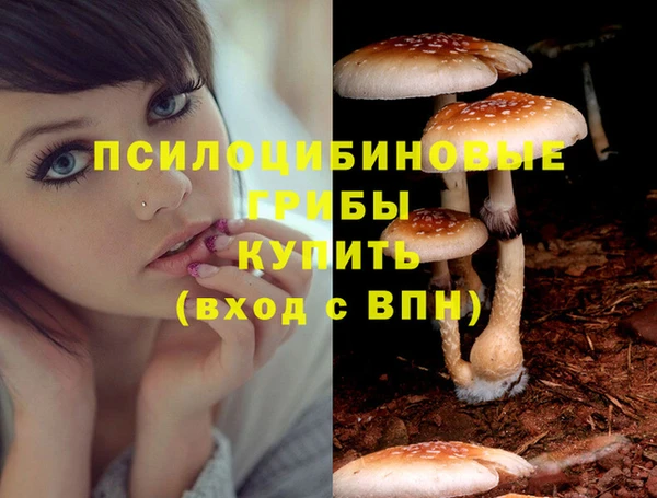 mdpv Абинск