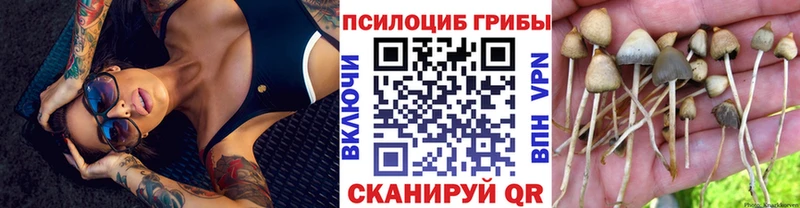 Галлюциногенные грибы мухоморы Урюпинск