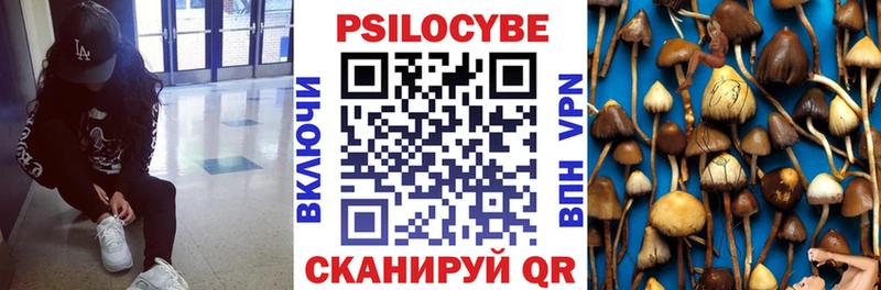 mega маркетплейс Урюпинск Псилоцибиновые грибы MAGIC MUSHROOMS